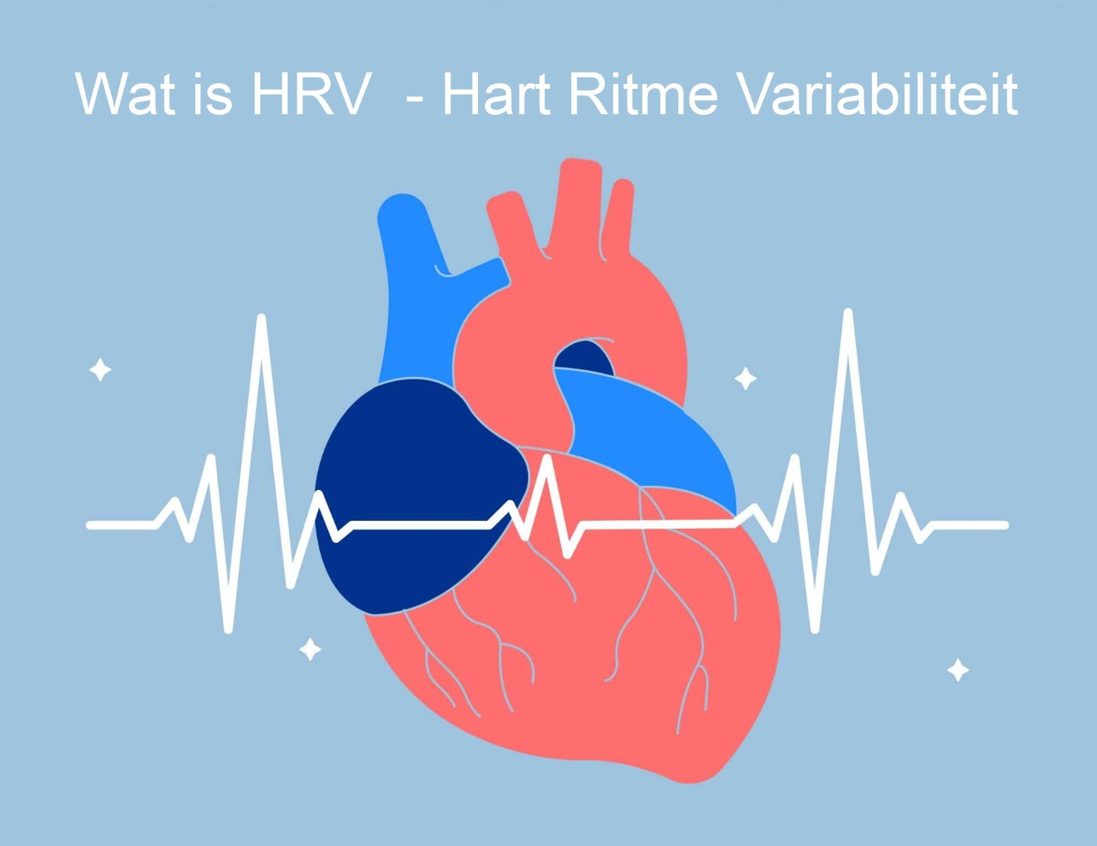 HRV Als De Graadmeter Van Je Gezondheid