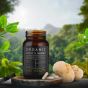 KiKi Health - Lion’s Mane’s Extract - Bio – 60 Vcaps