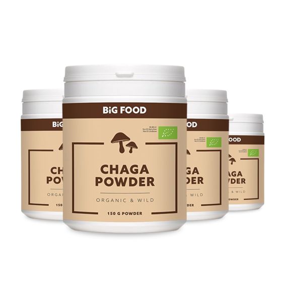 Big Food Bio Chaga Poeder RAW – 3+1 Gratis