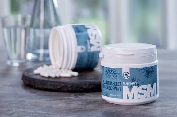 plantforce msm poeder