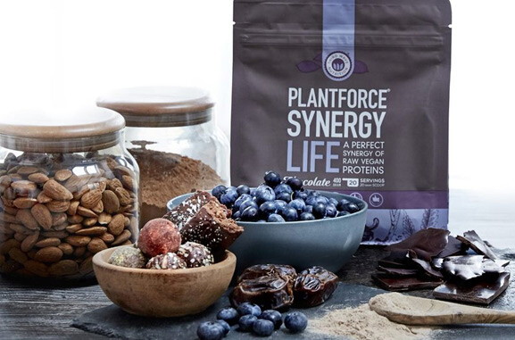plantforce synergy protein chocolat