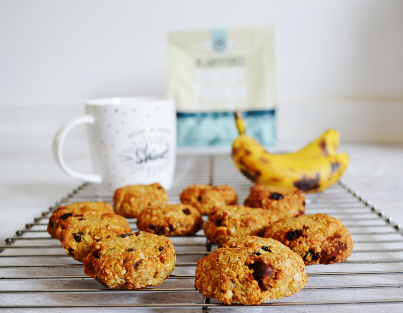 proteïne havermoutkoekjes