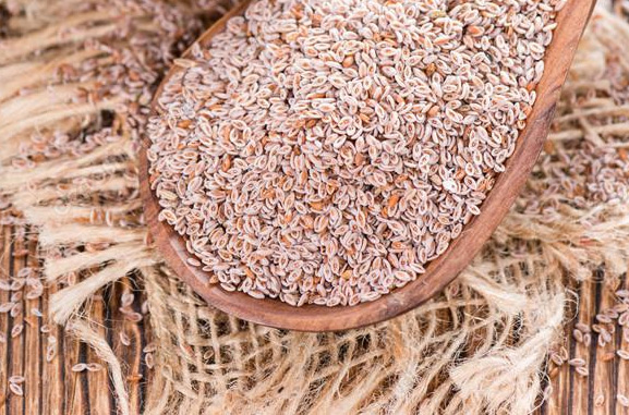 psyllium husk kopen