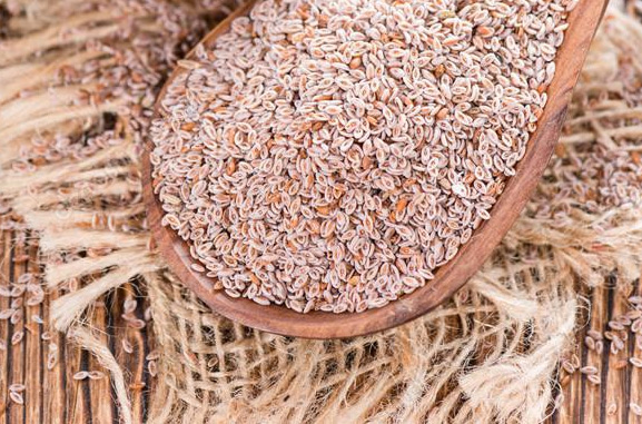 psyllium husk kopen