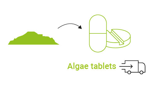 Poeder wordt omgezet naar tabletten