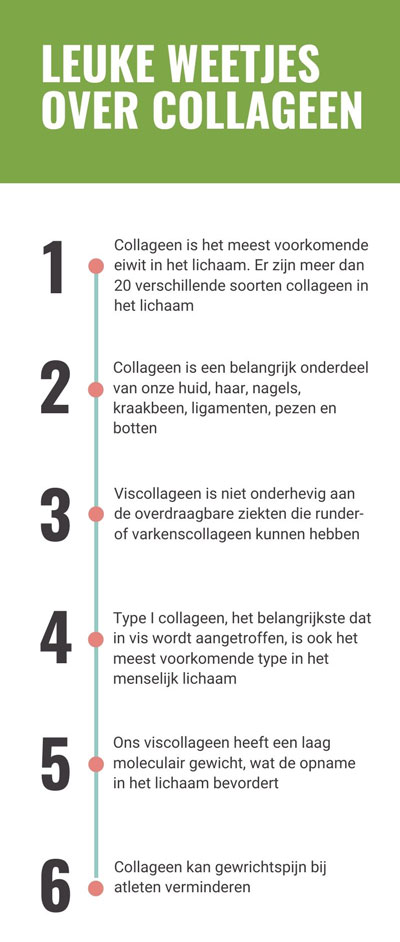 eigenschappen viscollageen