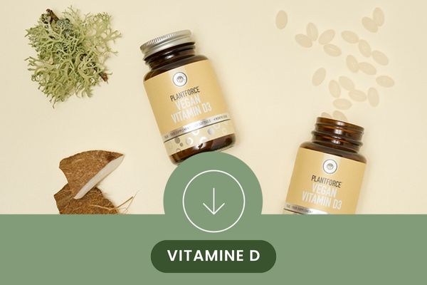 vitamine d supplementen